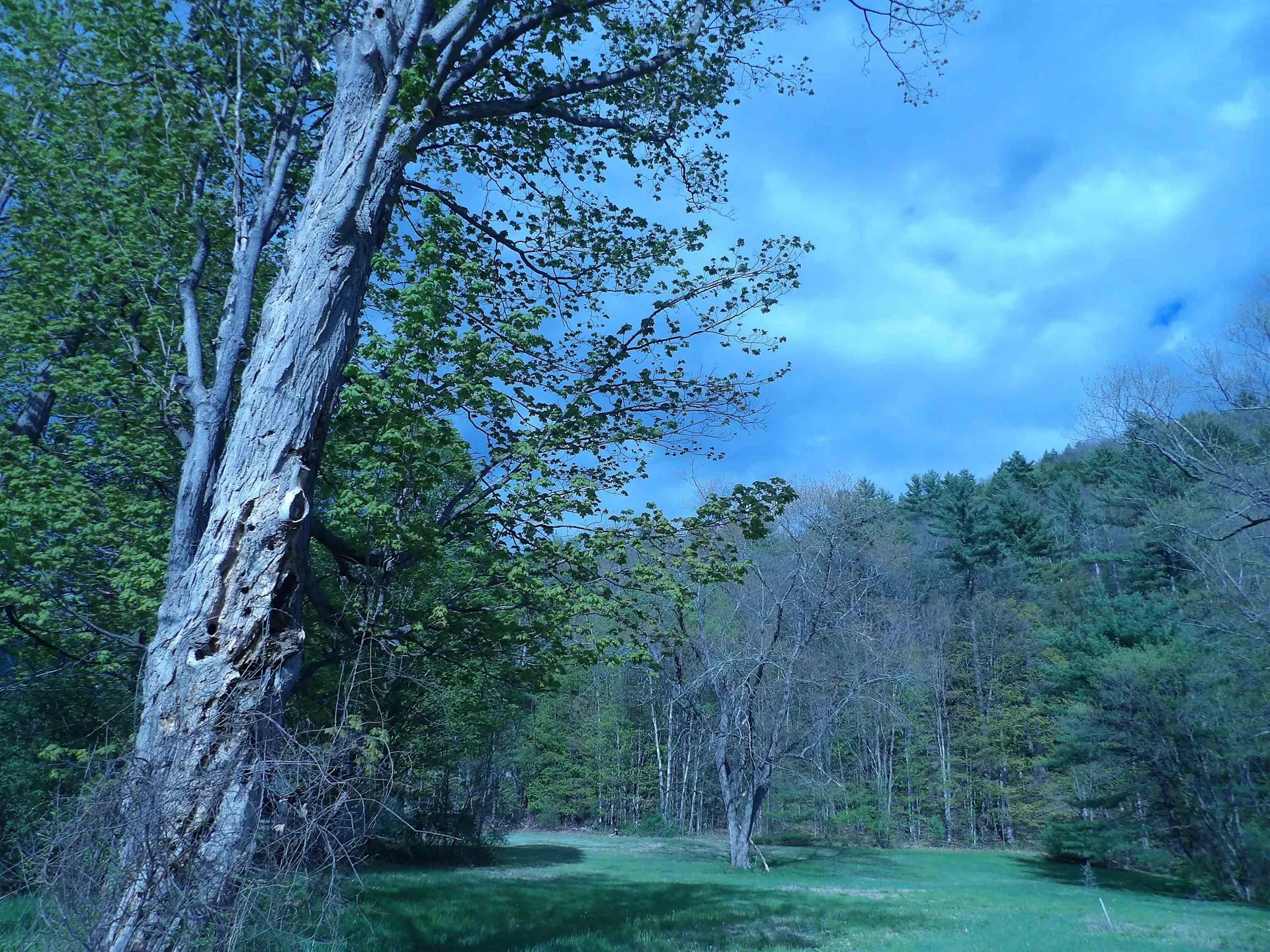 95 Old Church Road Claremont NH 03743-5505