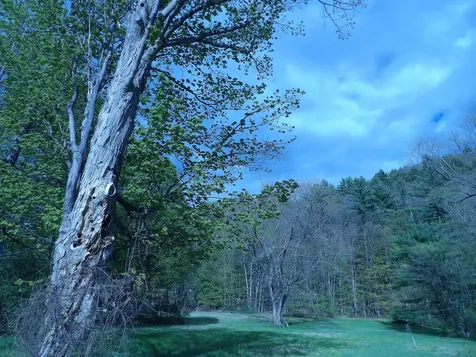 95 Old Church Road Claremont NH 03743-5505