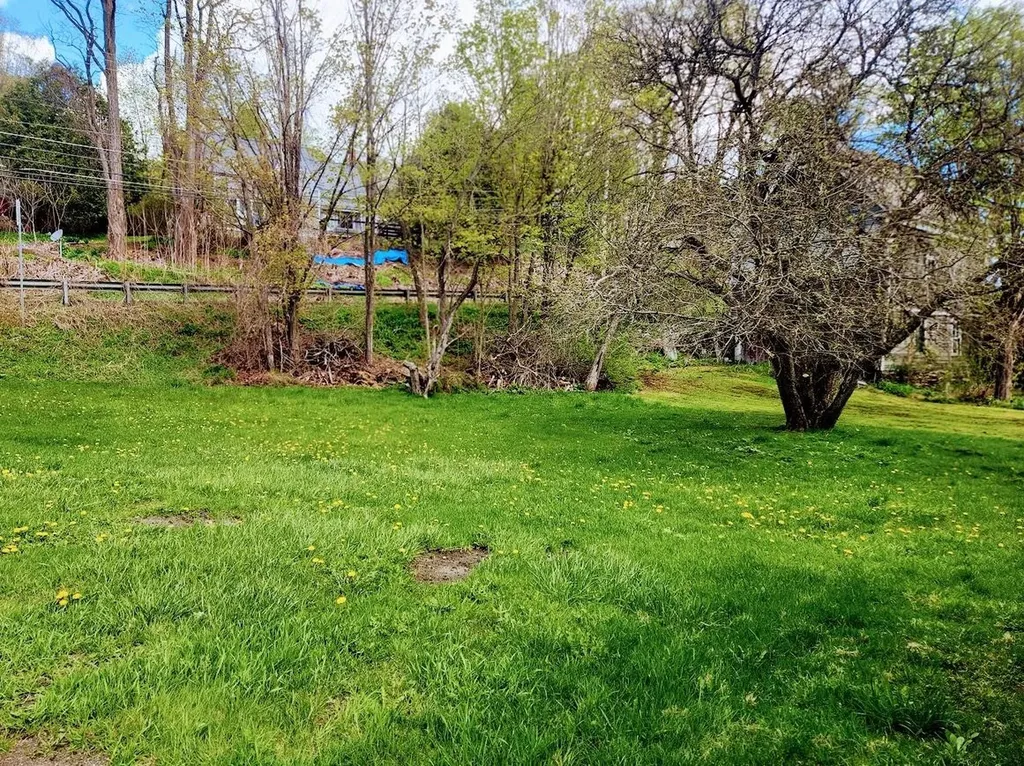 19 Meadow Street Williamstown VT 05679