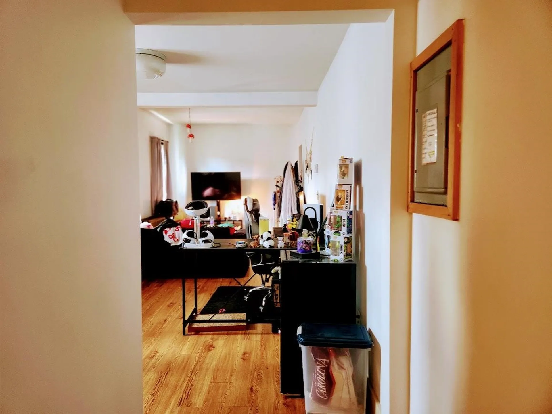 19 Meadow Street Williamstown VT 05679