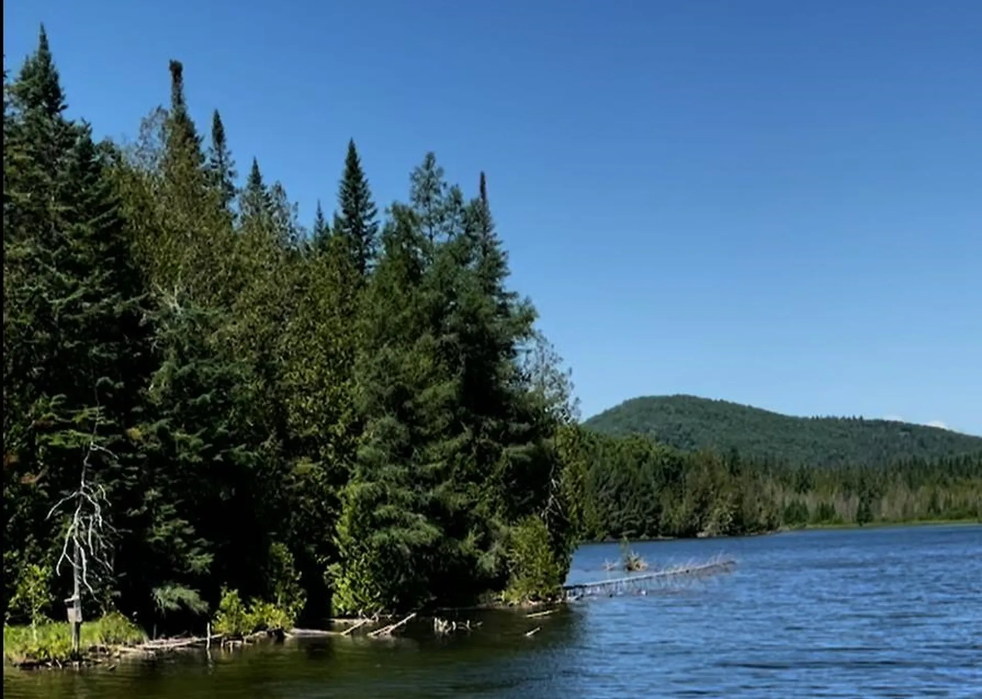 3156 Keiser Pond Road Danville VT 05873