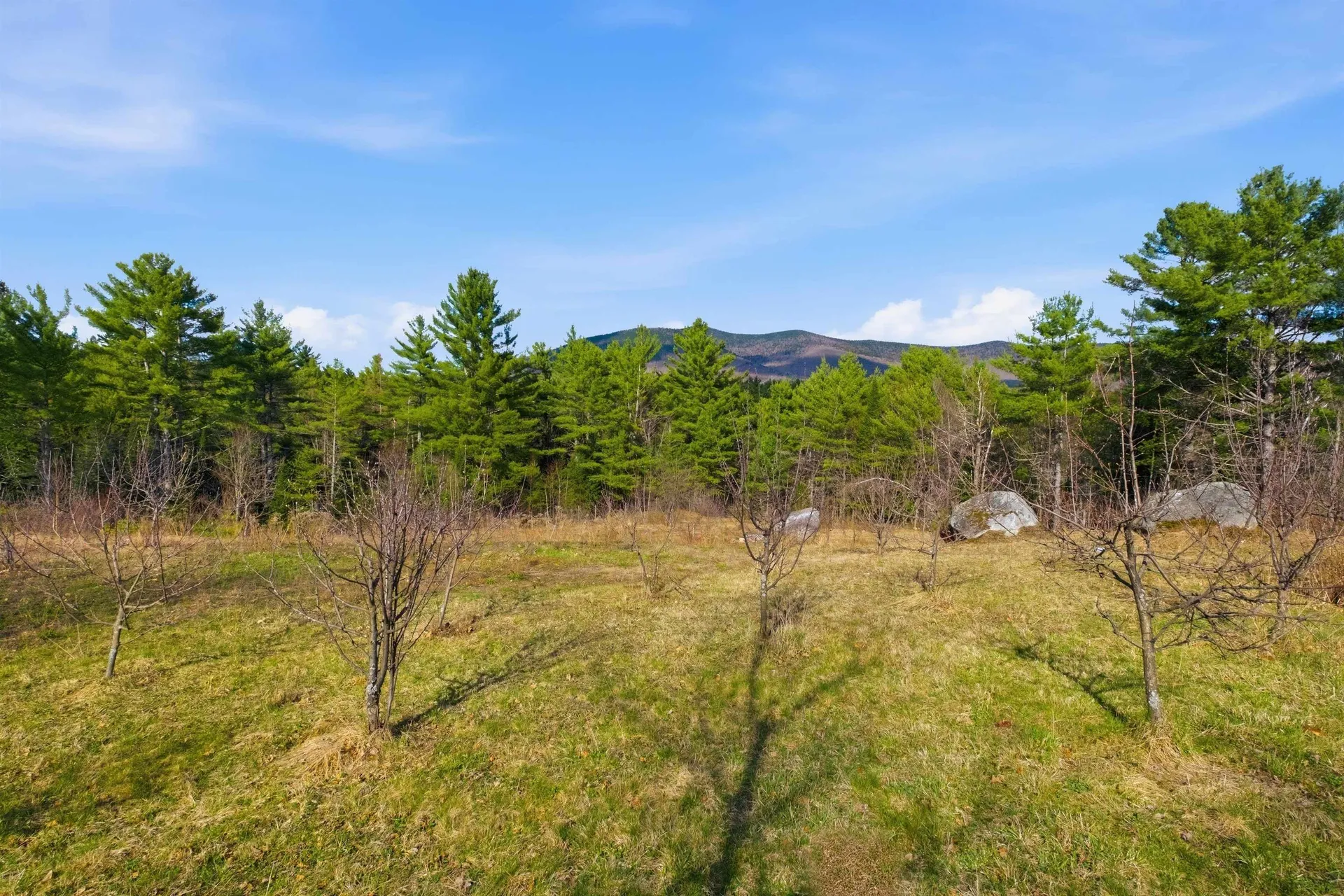 1658 Route 3 North Carroll NH 03598