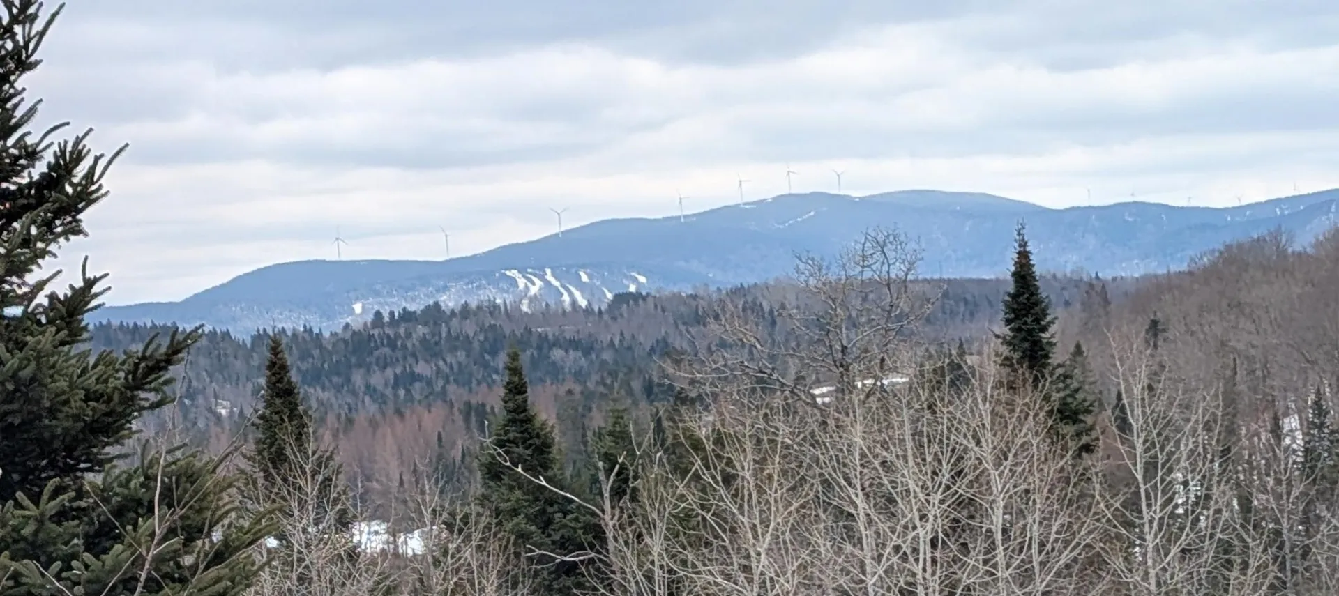 0 Bear Rock Road Stewartstown NH 03576