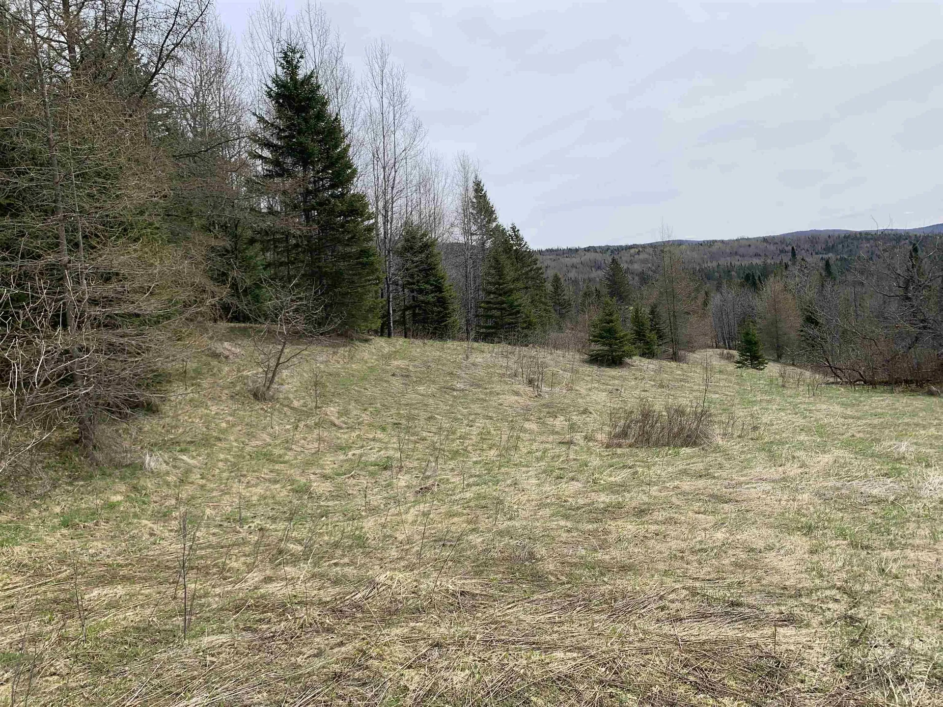 0 Bear Rock Road Stewartstown NH 03576