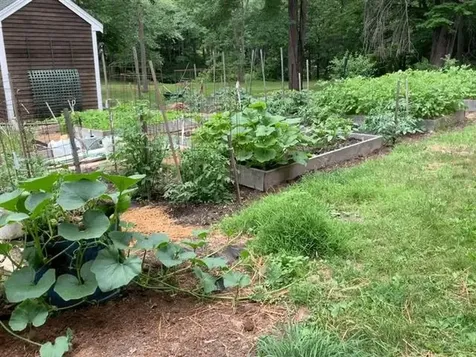 95 Kingston Road Exeter NH 03833