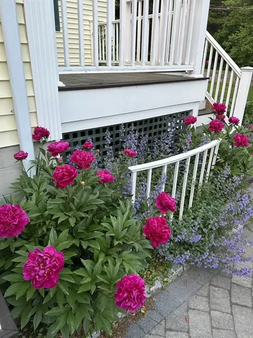95 Kingston Road Exeter NH 03833