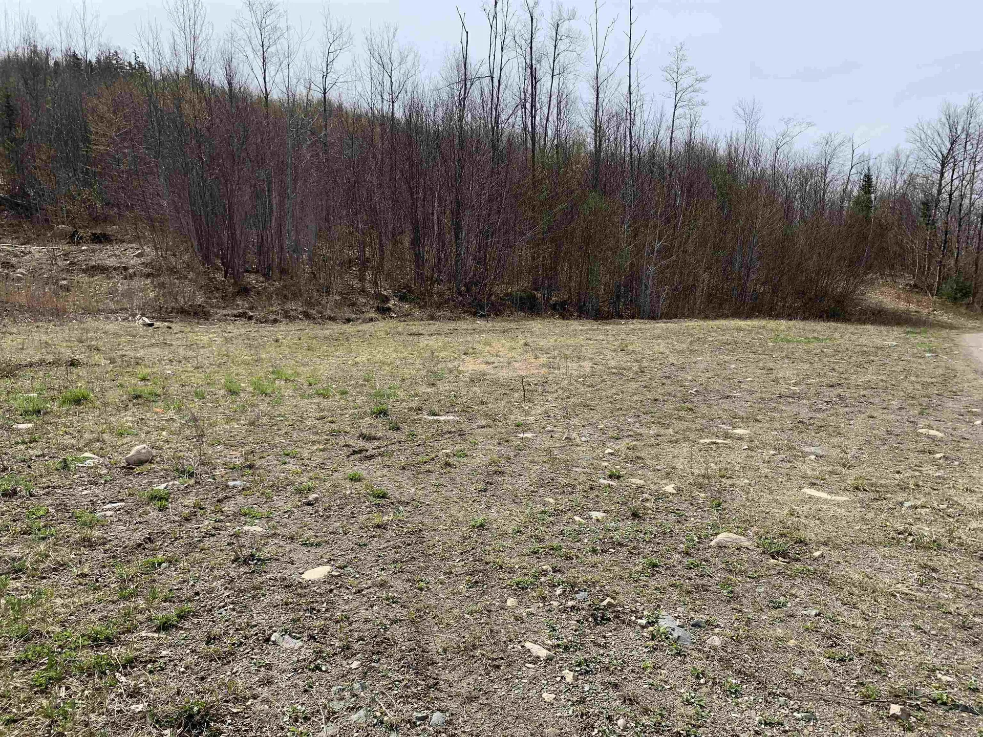 Lot 13 Washburn Road Columbia NH 03576