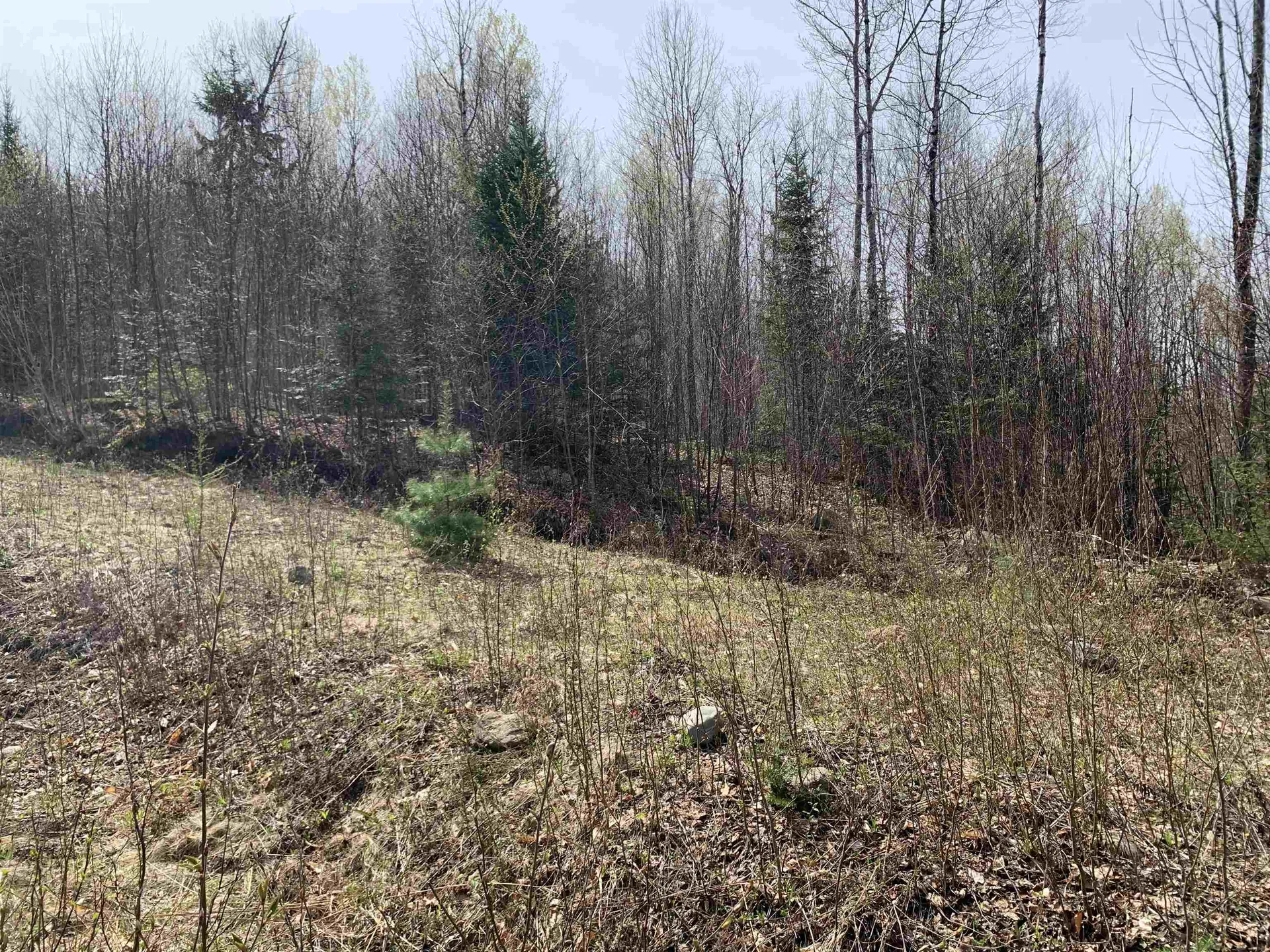Lot 13 Washburn Road Columbia NH 03576
