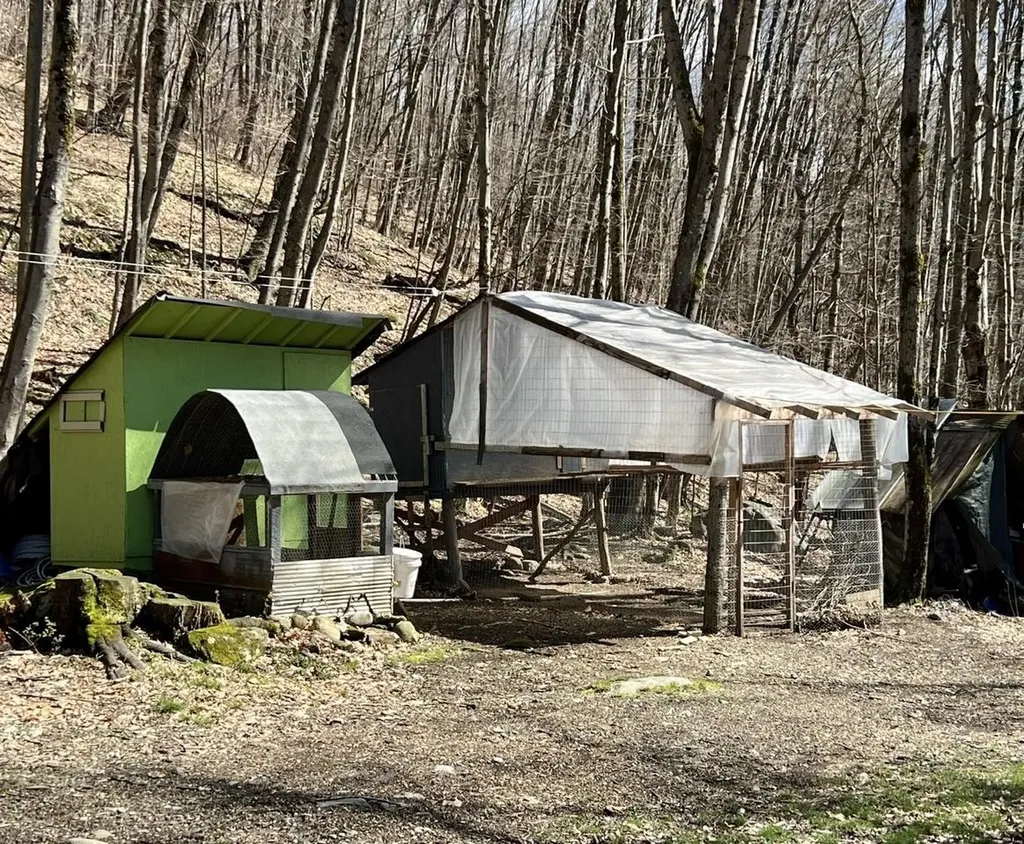 307 South Street Middletown Springs VT 05757