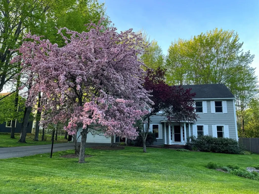 62 Summit Circle Shelburne VT 05482