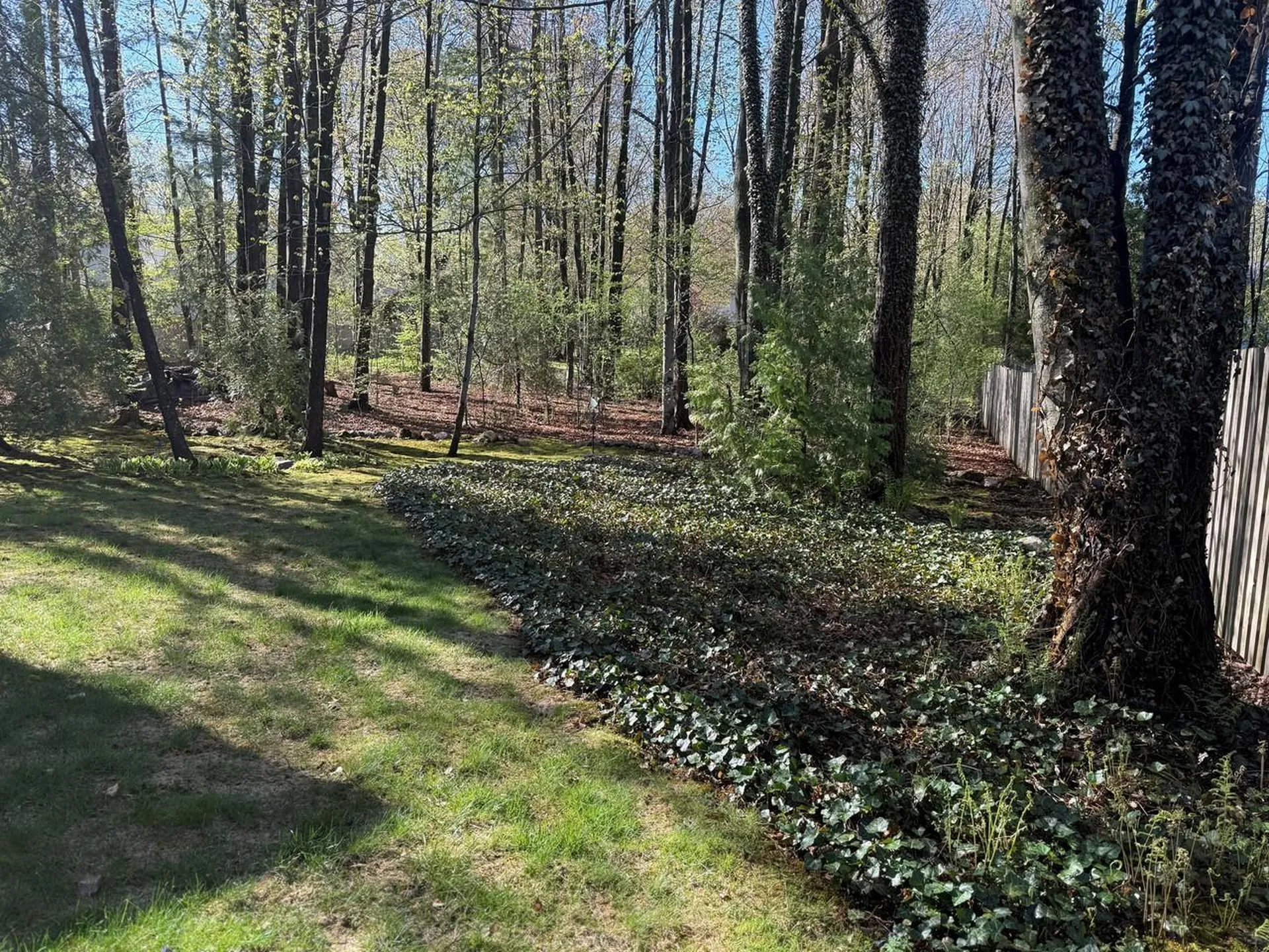 62 Summit Circle Shelburne VT 05482