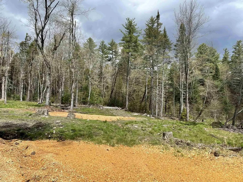 33 Forrest Lane Newfane VT 05345