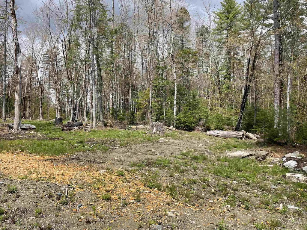 33 Forrest Lane Newfane VT 05345