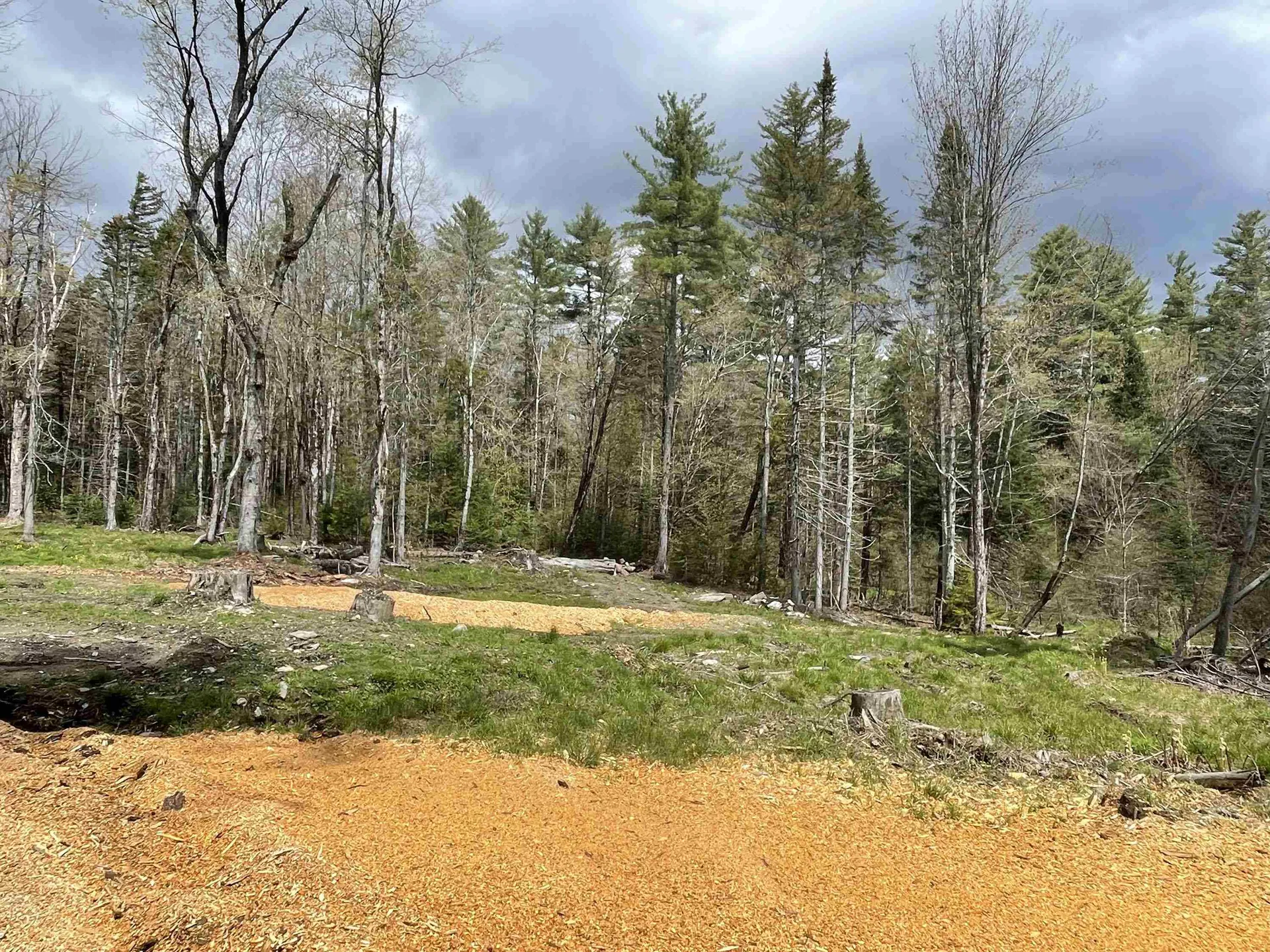 33 Forrest Lane Newfane VT 05345