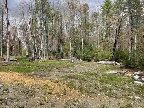 33 Forrest Lane Newfane VT 05345