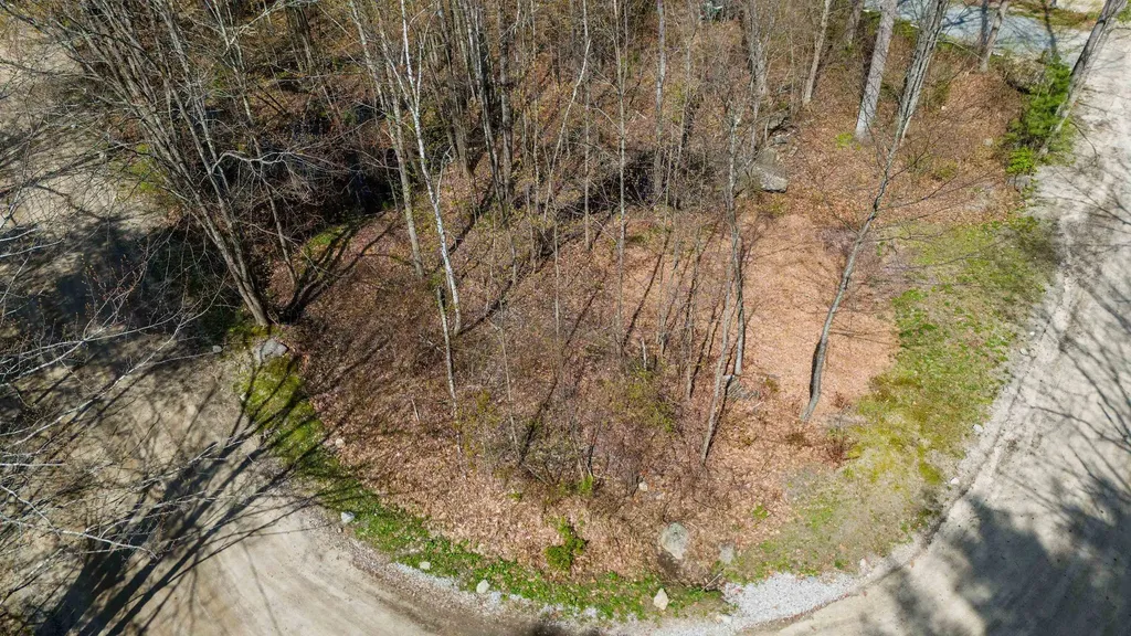 43 Moccasin Trail Hillsborough NH 03244