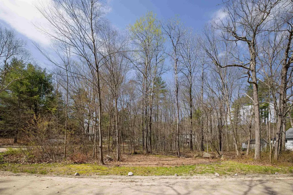 43 Moccasin Trail Hillsborough NH 03244