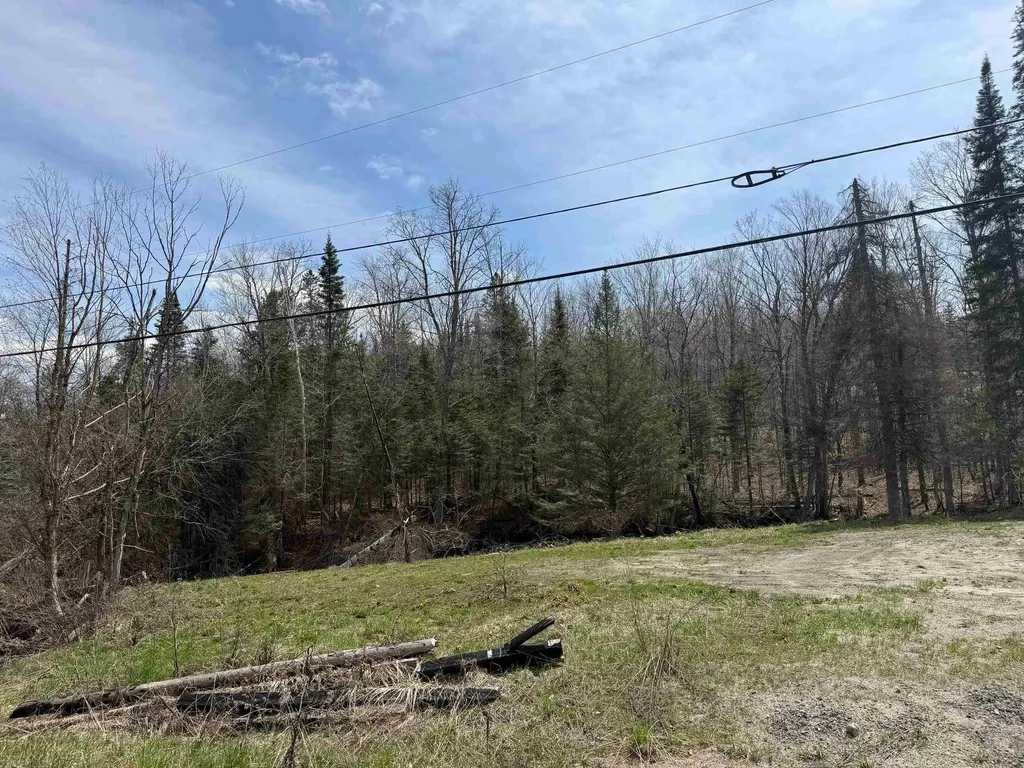 31 Blakely Road Wheelock VT 05851