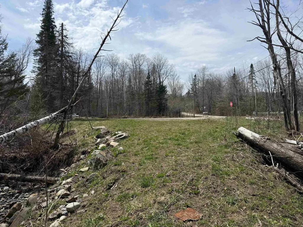 31 Blakely Road Wheelock VT 05851