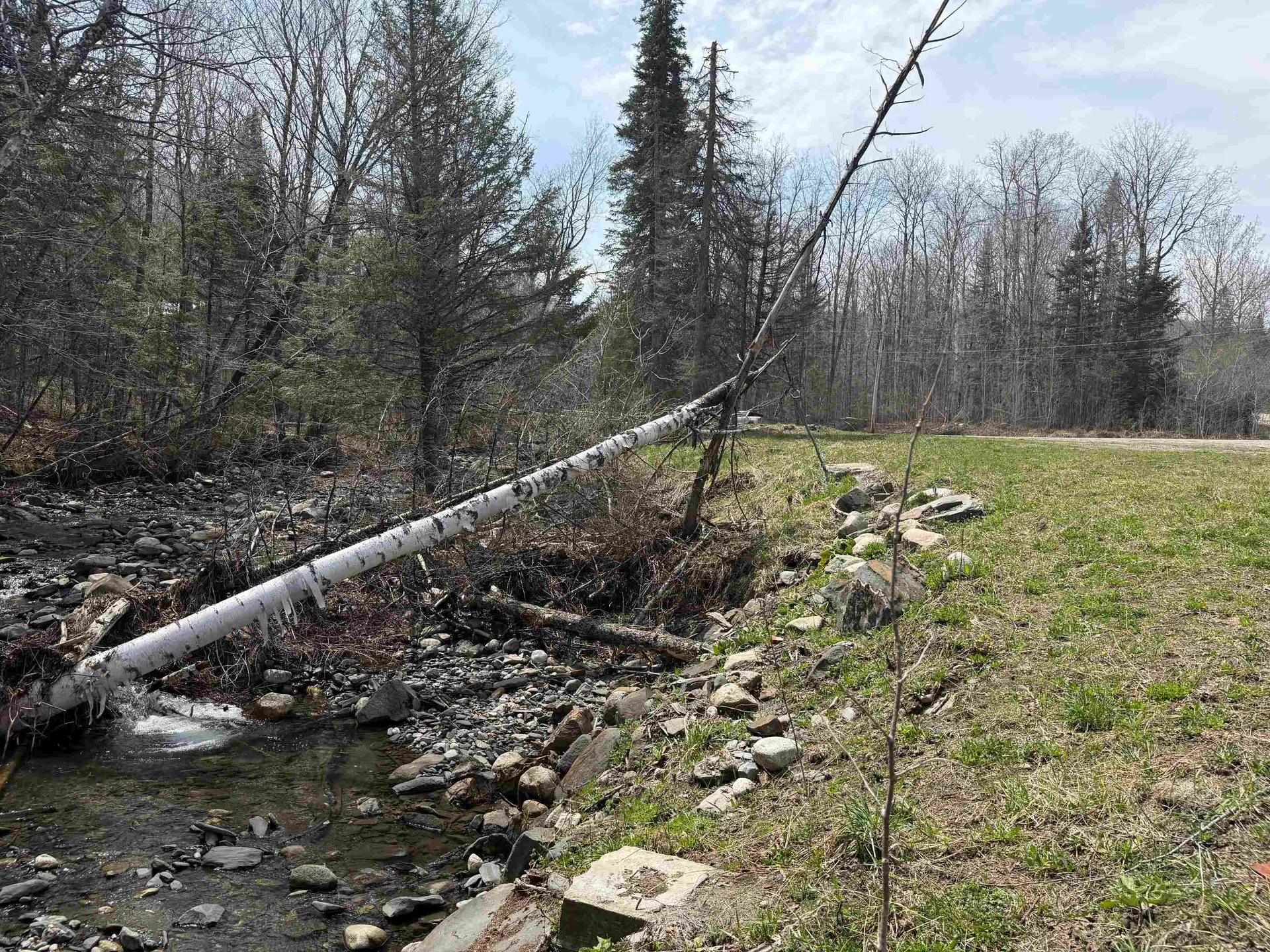 31 Blakely Road Wheelock VT 05851