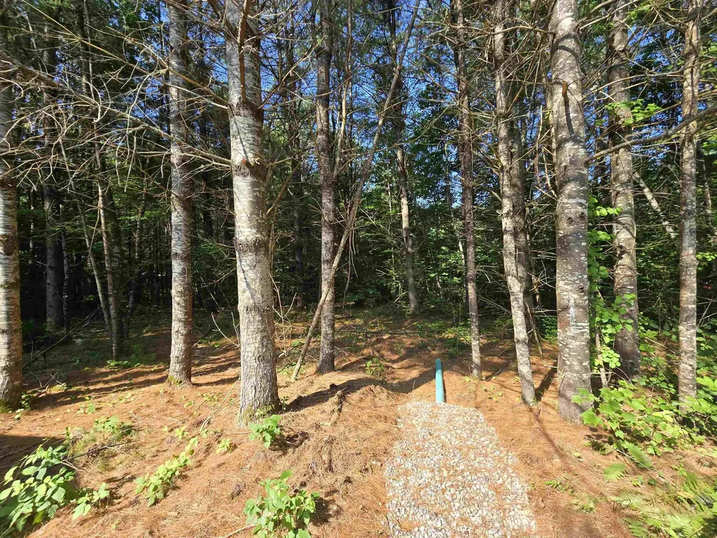 77 Trapper Road Campton NH 03223