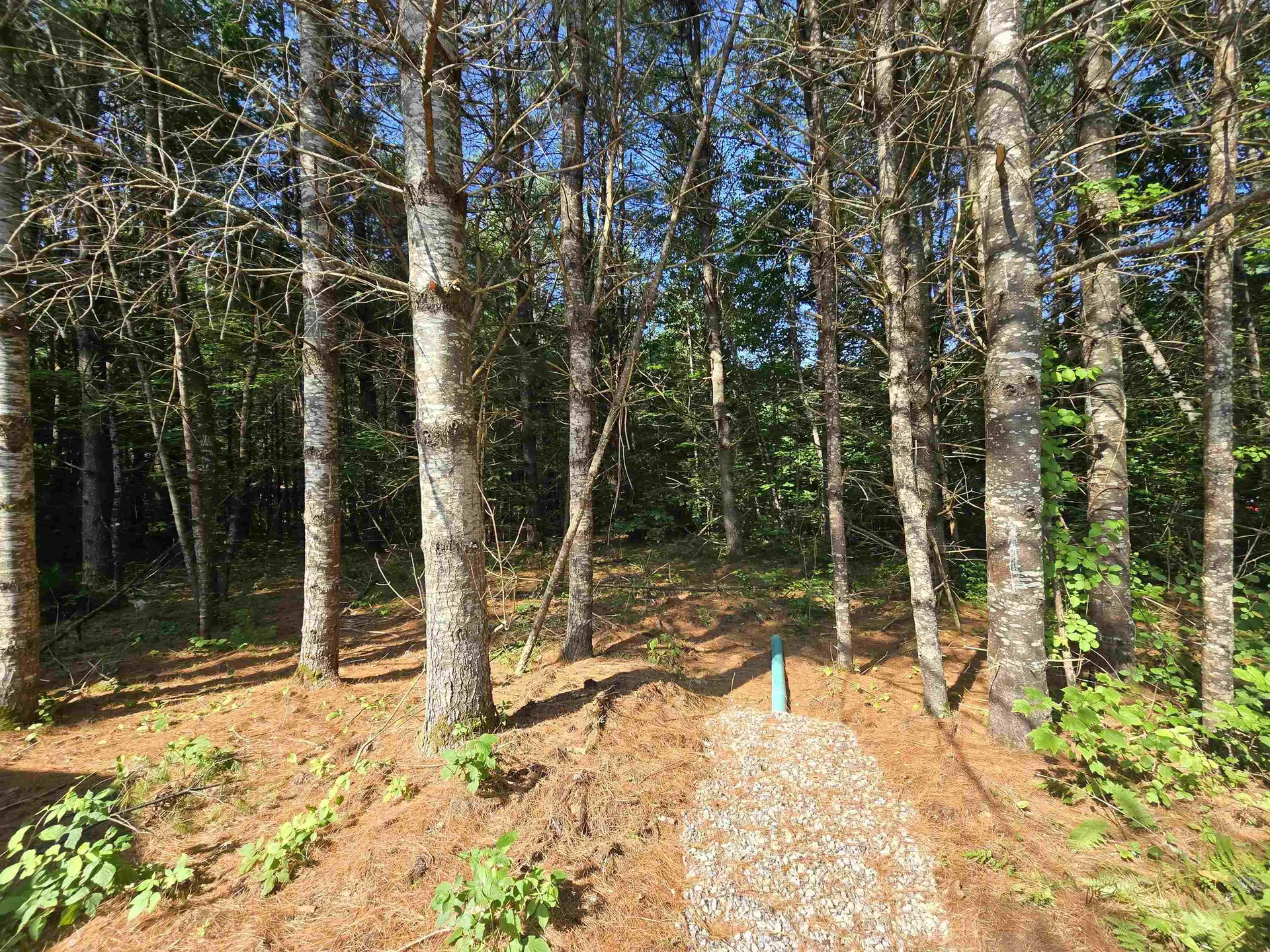 77 Trapper Road Campton NH 03223