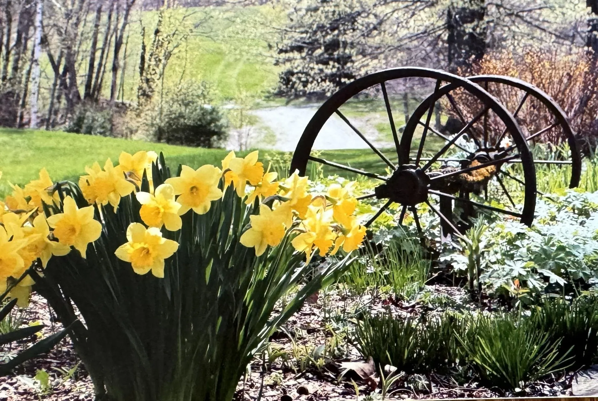 352 Maple Hill Road Newbury VT 05051