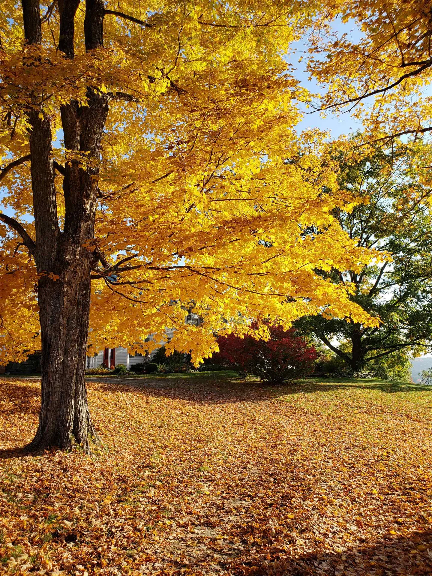 352 Maple Hill Road Newbury VT 05051