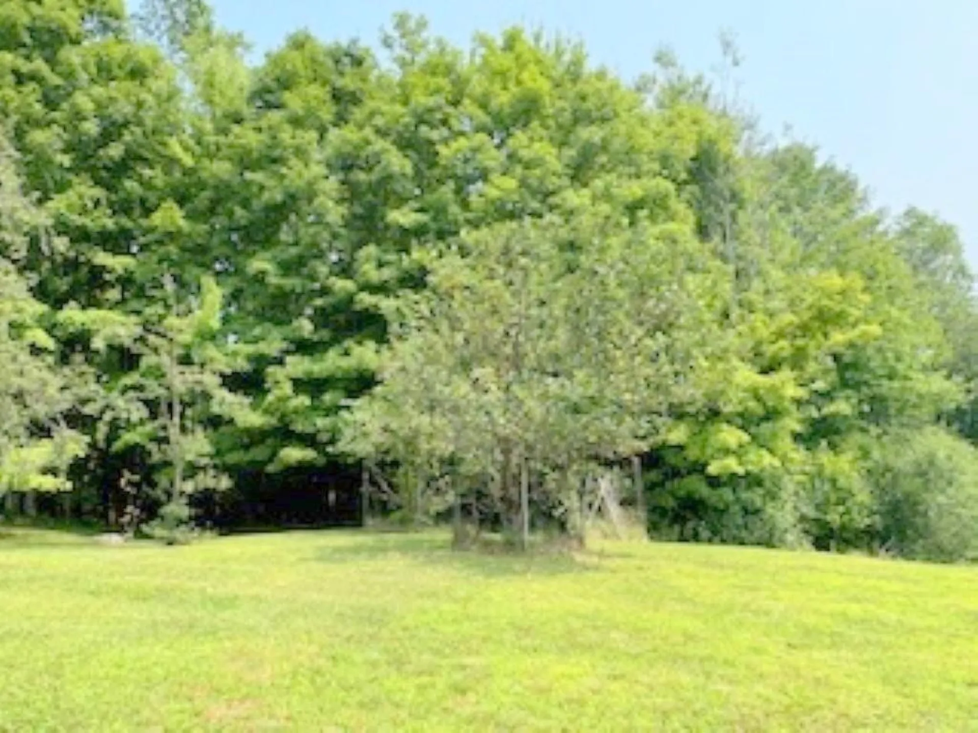 352 Maple Hill Road Newbury VT 05051
