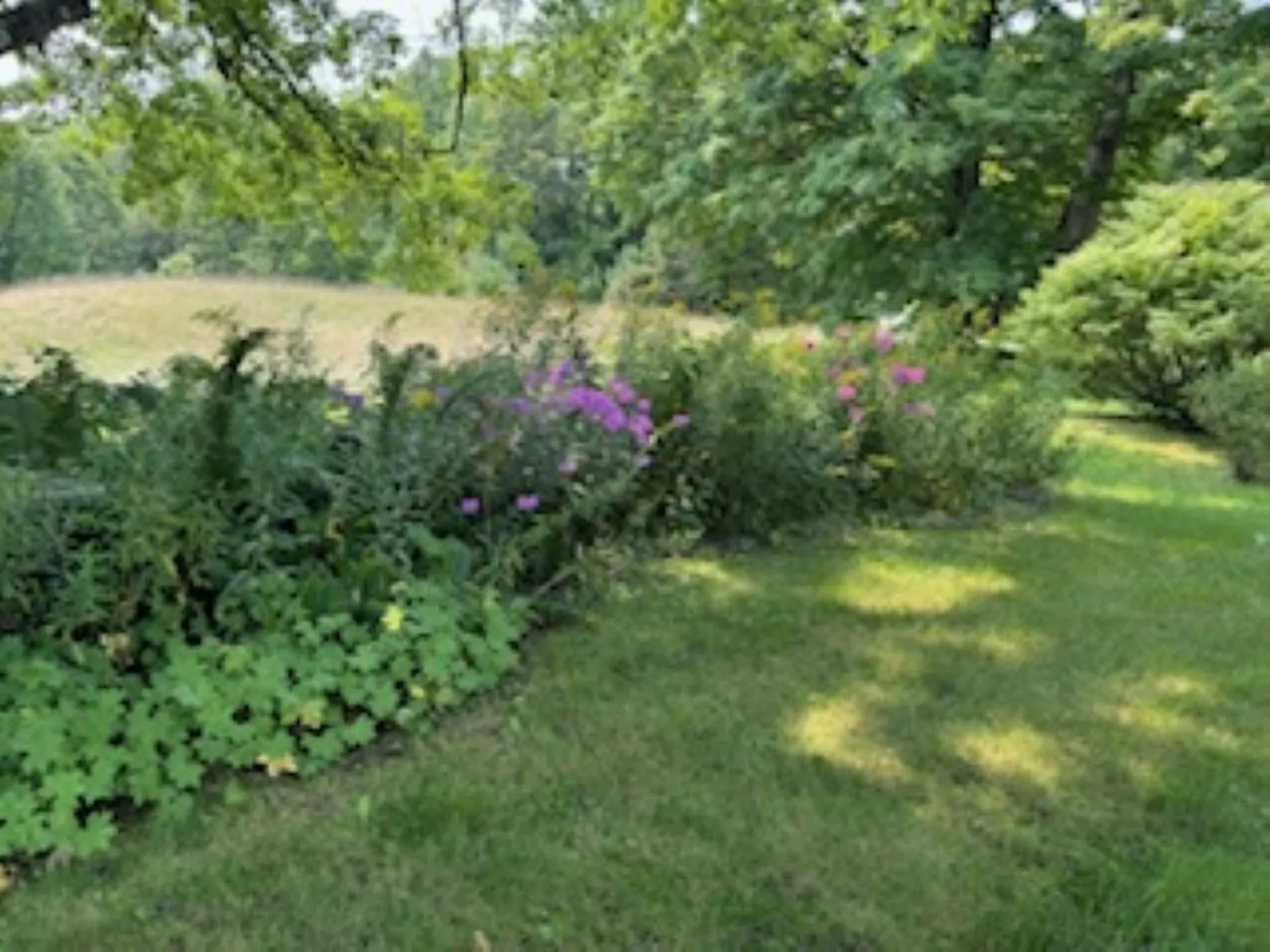 352 Maple Hill Road Newbury VT 05051