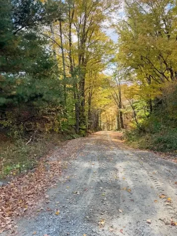 352 Maple Hill Road Newbury VT 05051