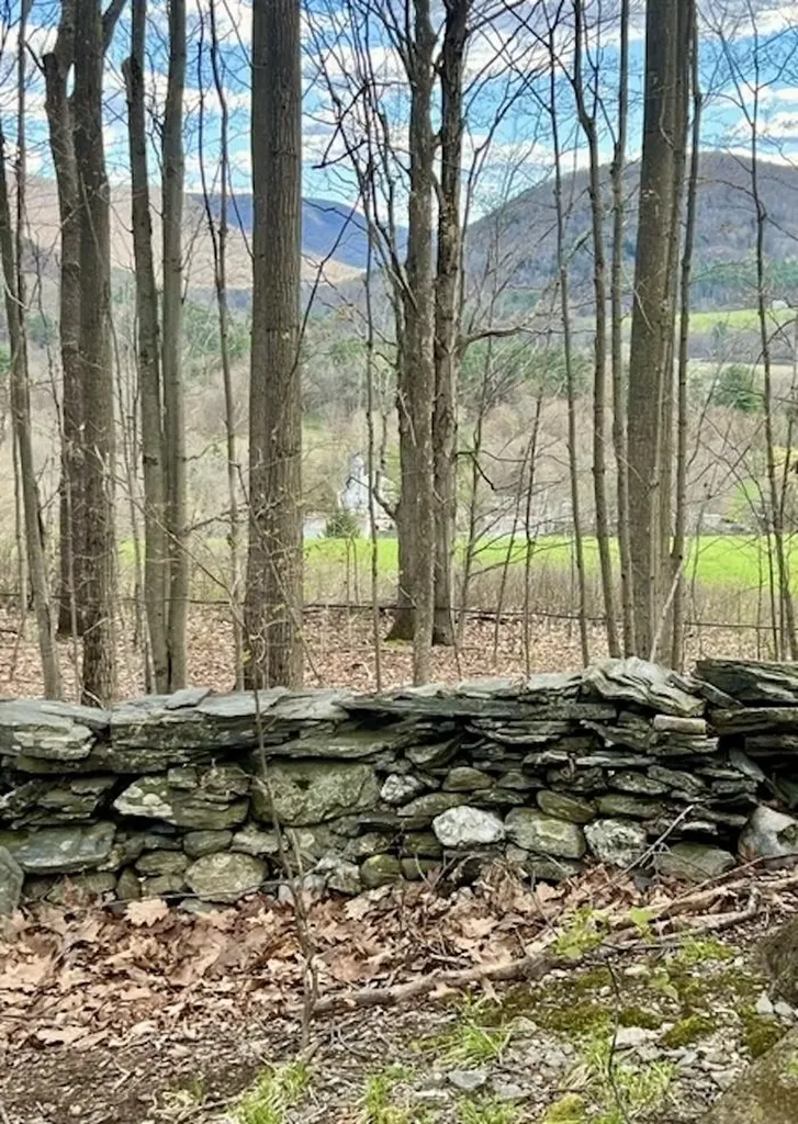 00 Spruce Knob Road Middletown Springs VT 05757
