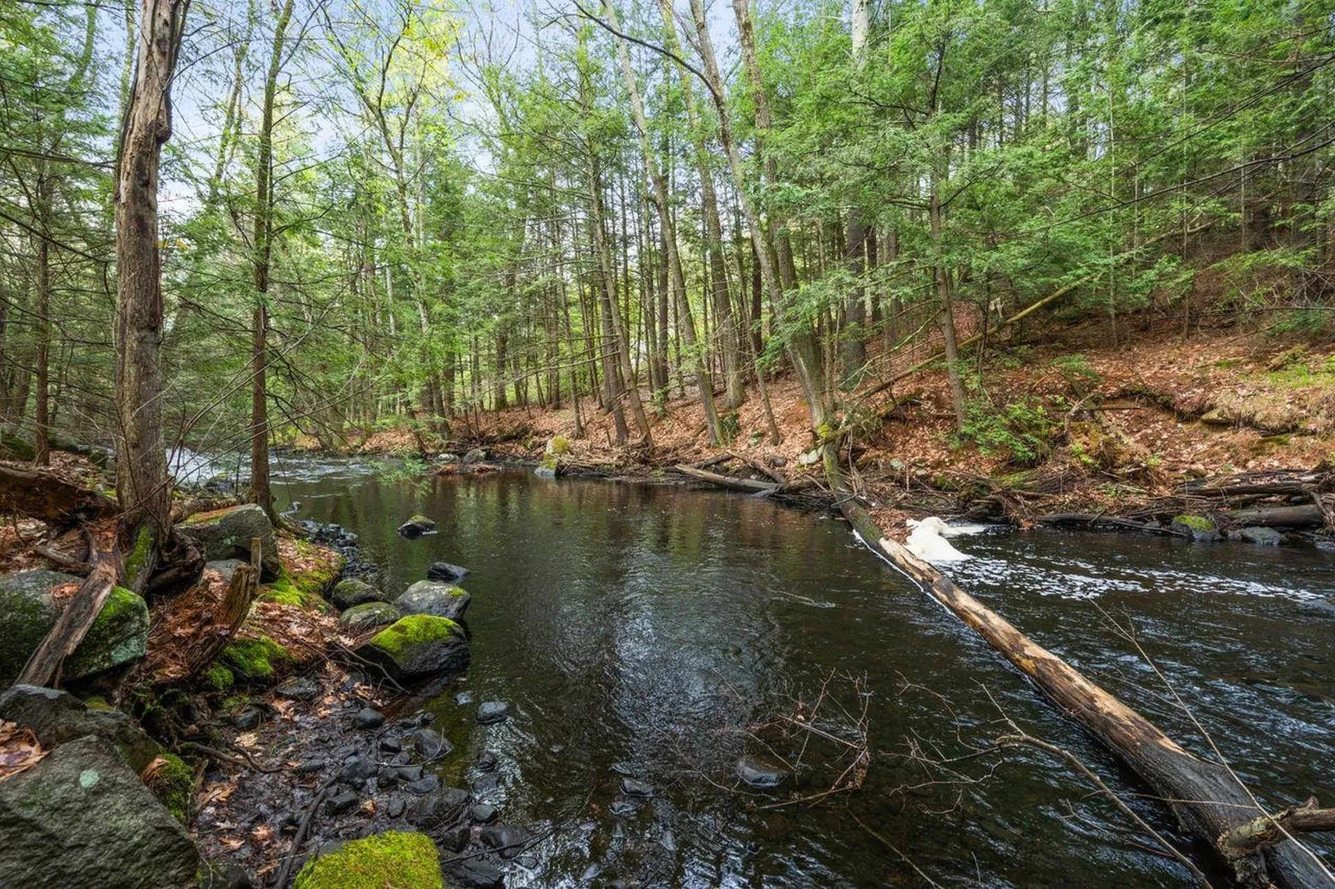 6 Mammoth Road Windham NH 03087