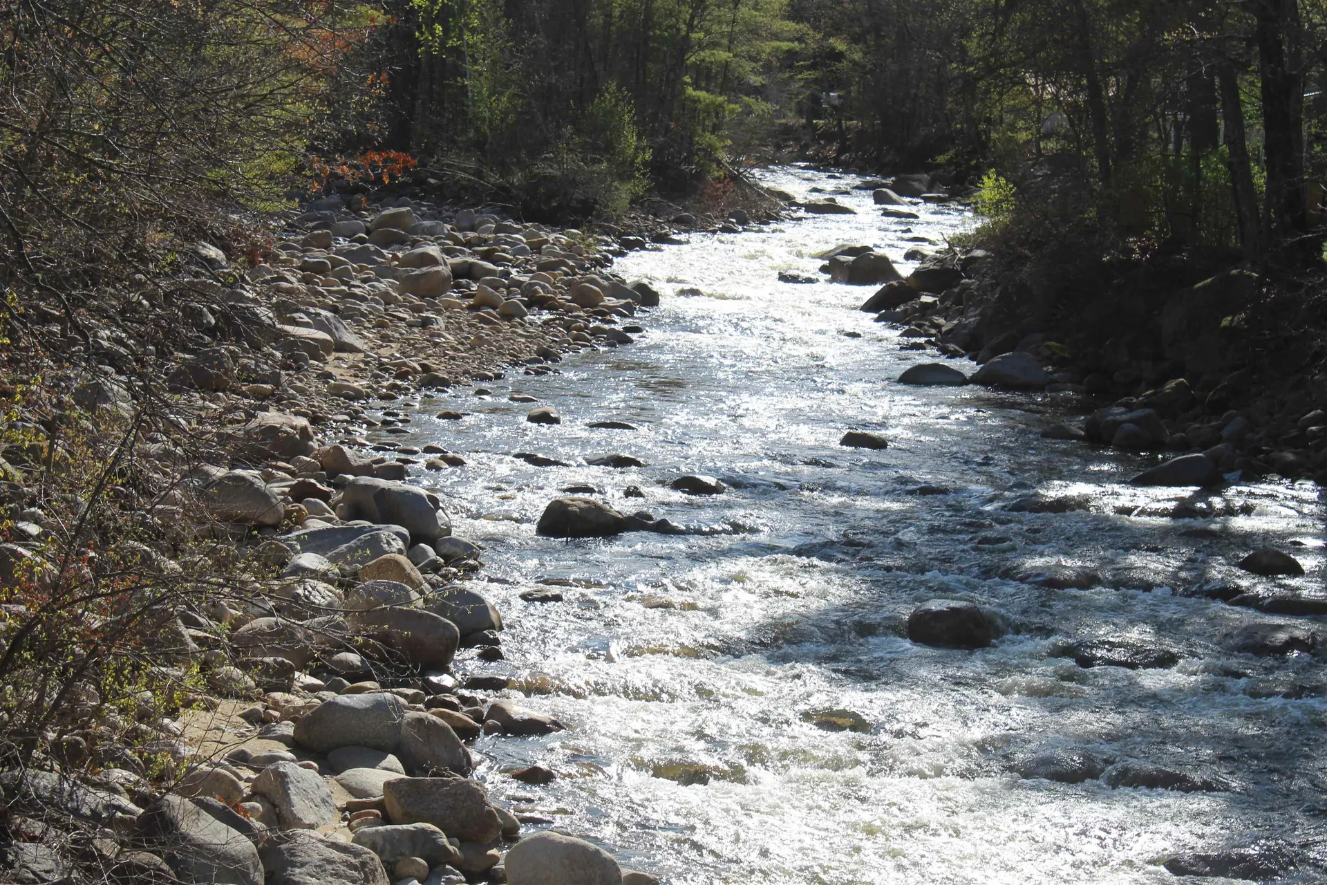 90 Chandler Mountain Road Bartlett NH 03845