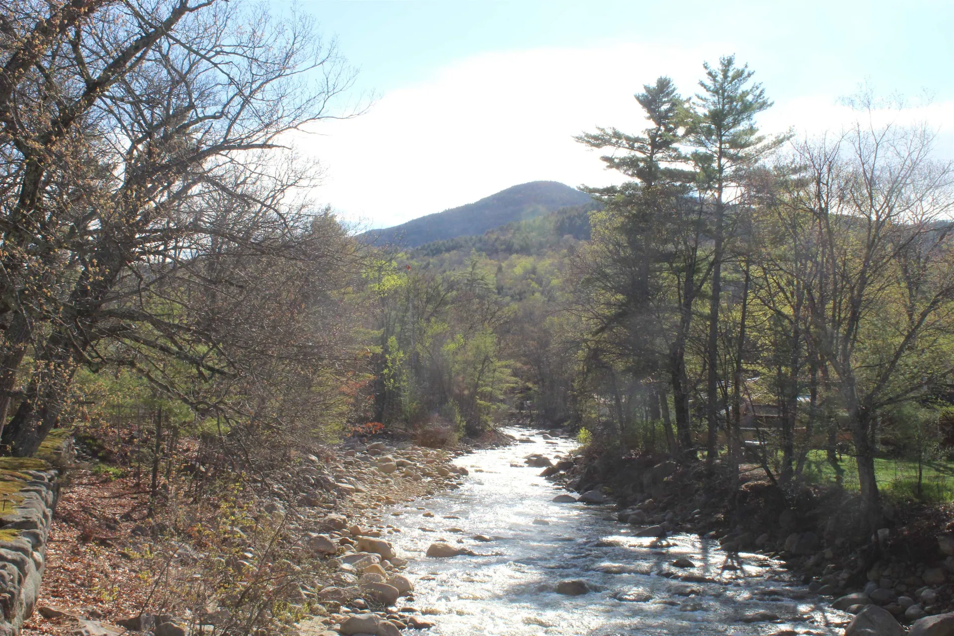 90 Chandler Mountain Road Bartlett NH 03845