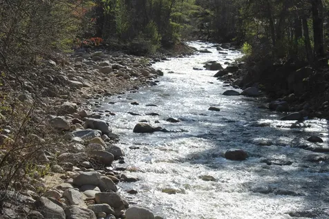 90 Chandler Mountain Road Bartlett NH 03845