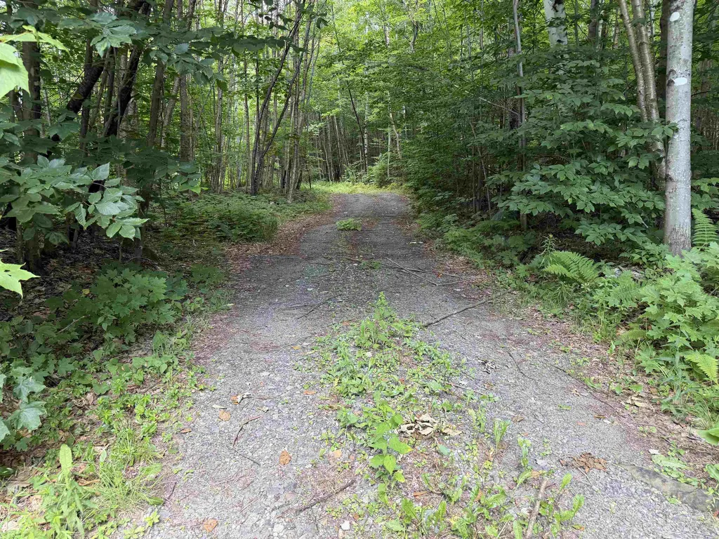 493 Wheeler Mountain Road Barton VT 05822