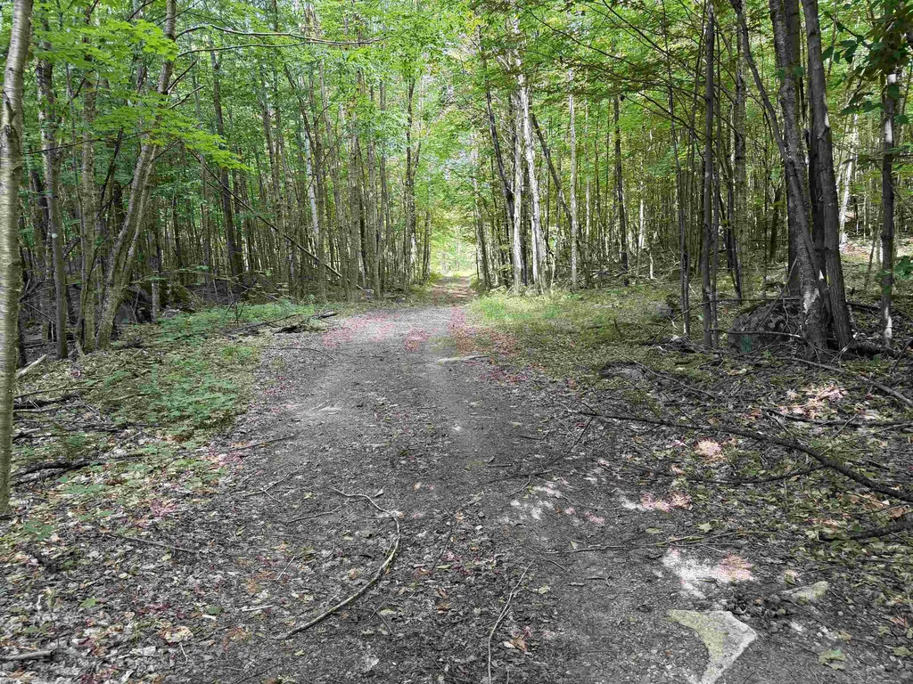 493 Wheeler Mountain Road Barton VT 05822