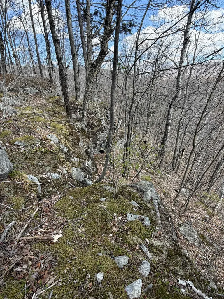 493 Wheeler Mountain Road Barton VT 05822