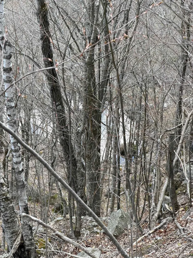493 Wheeler Mountain Road Barton VT 05822