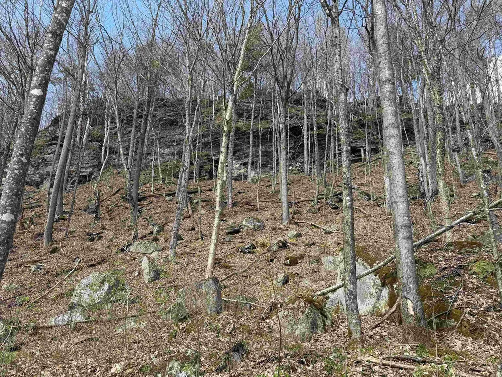 493 Wheeler Mountain Road Barton VT 05822