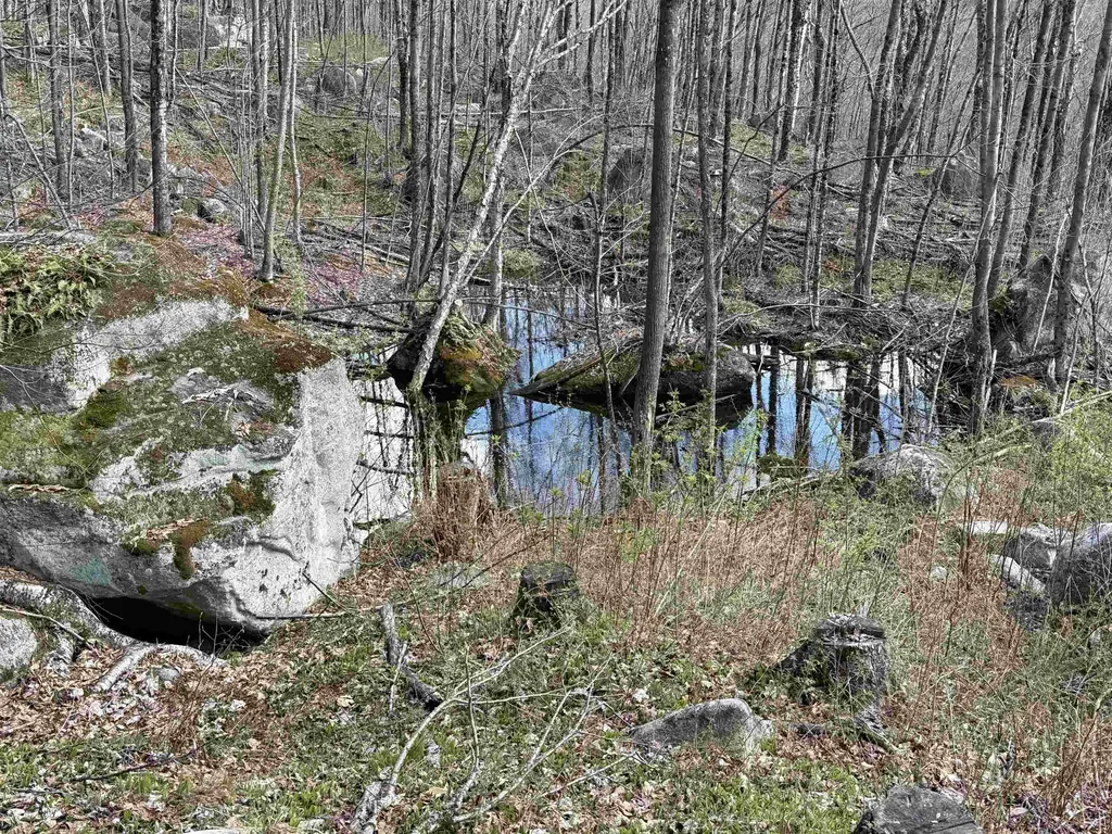 493 Wheeler Mountain Road Barton VT 05822