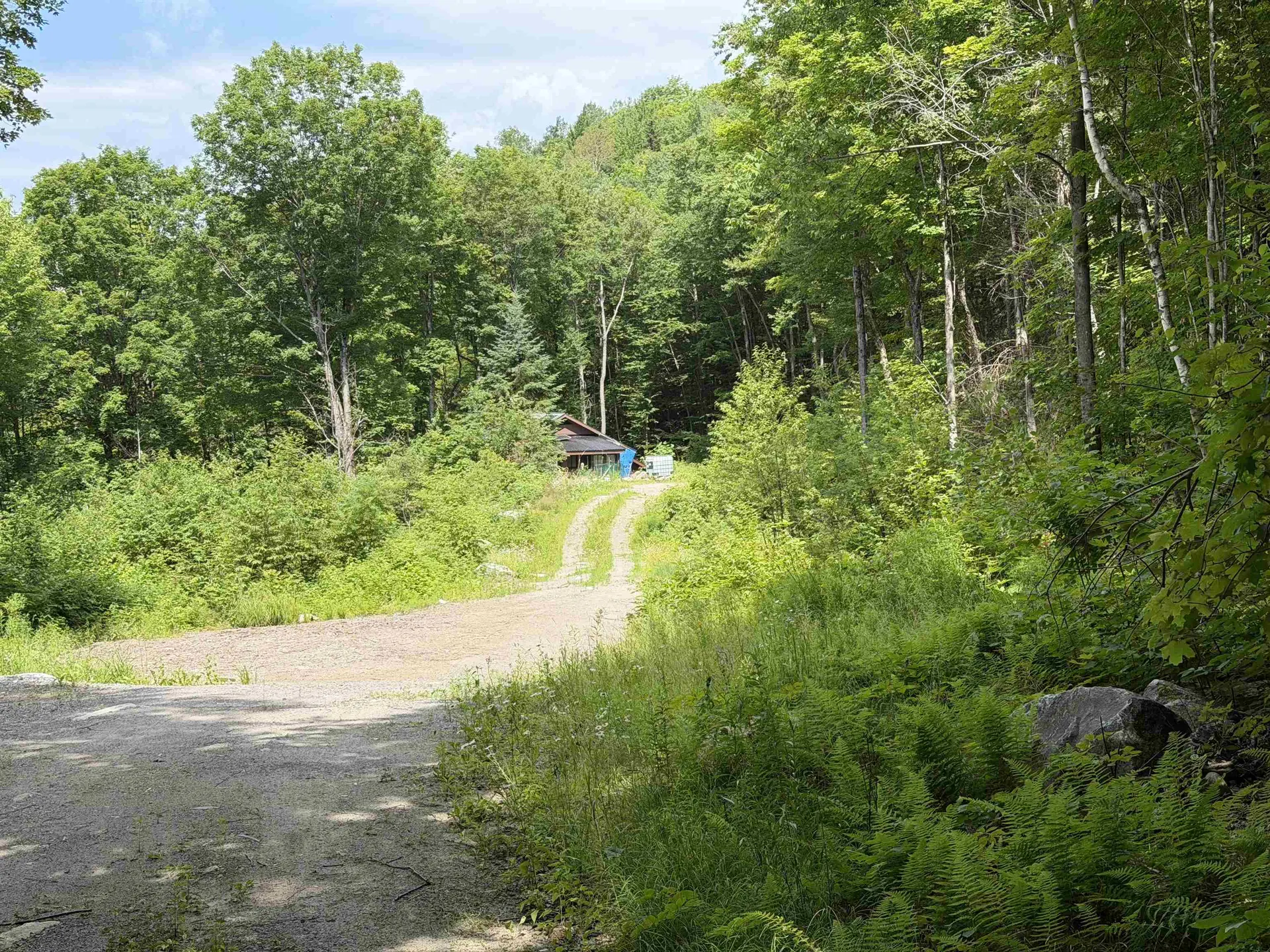 493 Wheeler Mountain Road Barton VT 05822