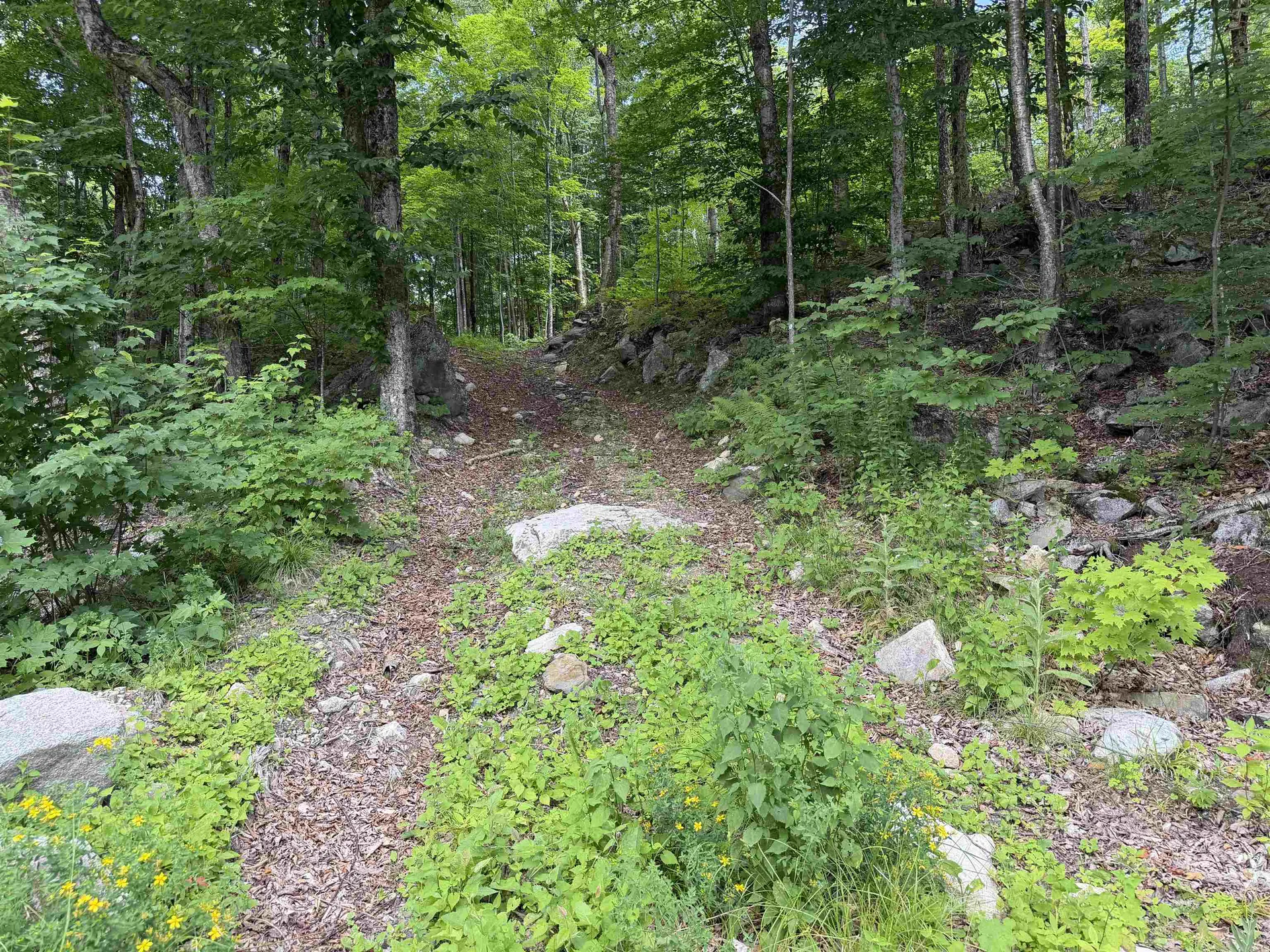 493 Wheeler Mountain Road Barton VT 05822
