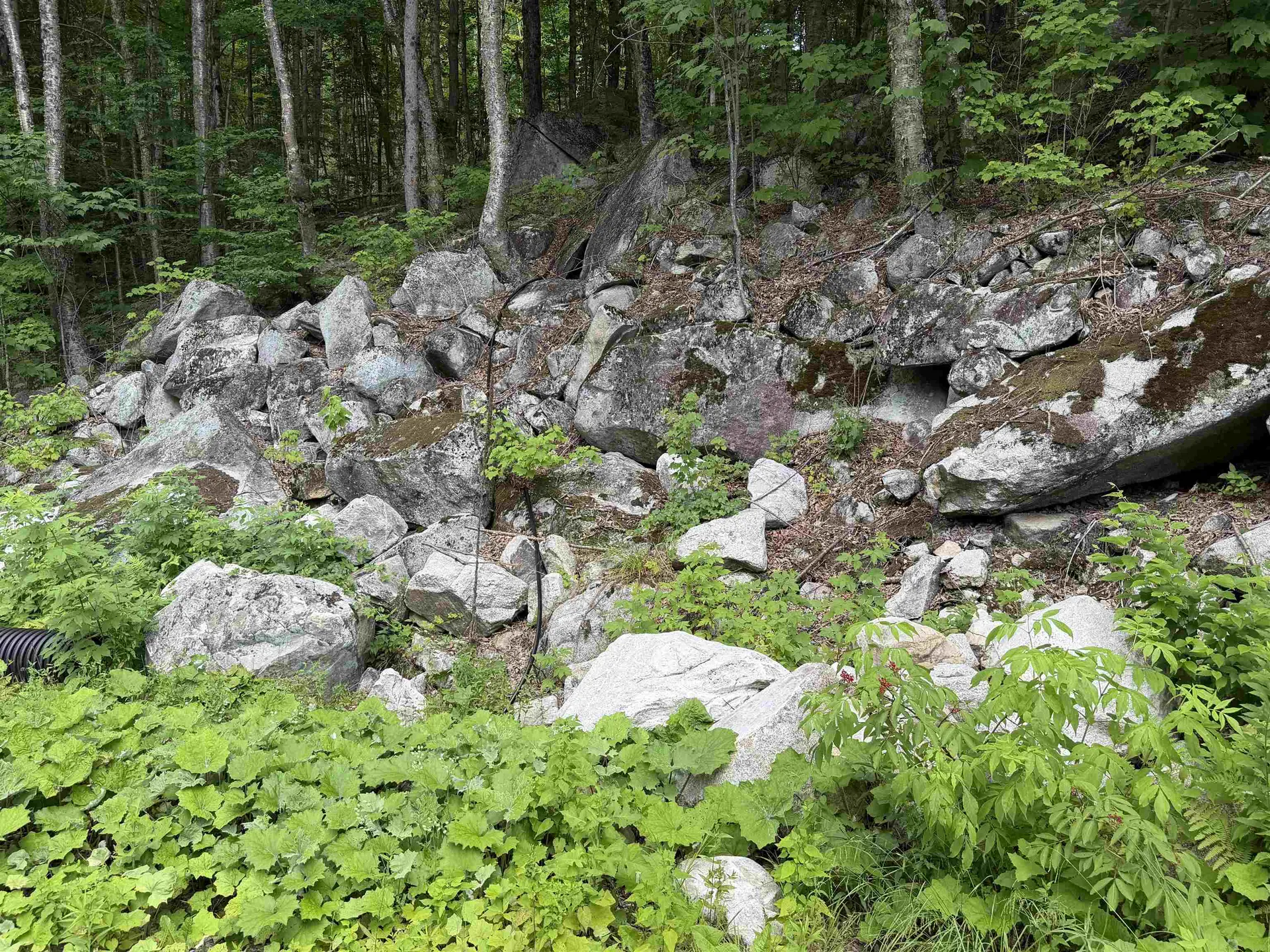 493 Wheeler Mountain Road Barton VT 05822