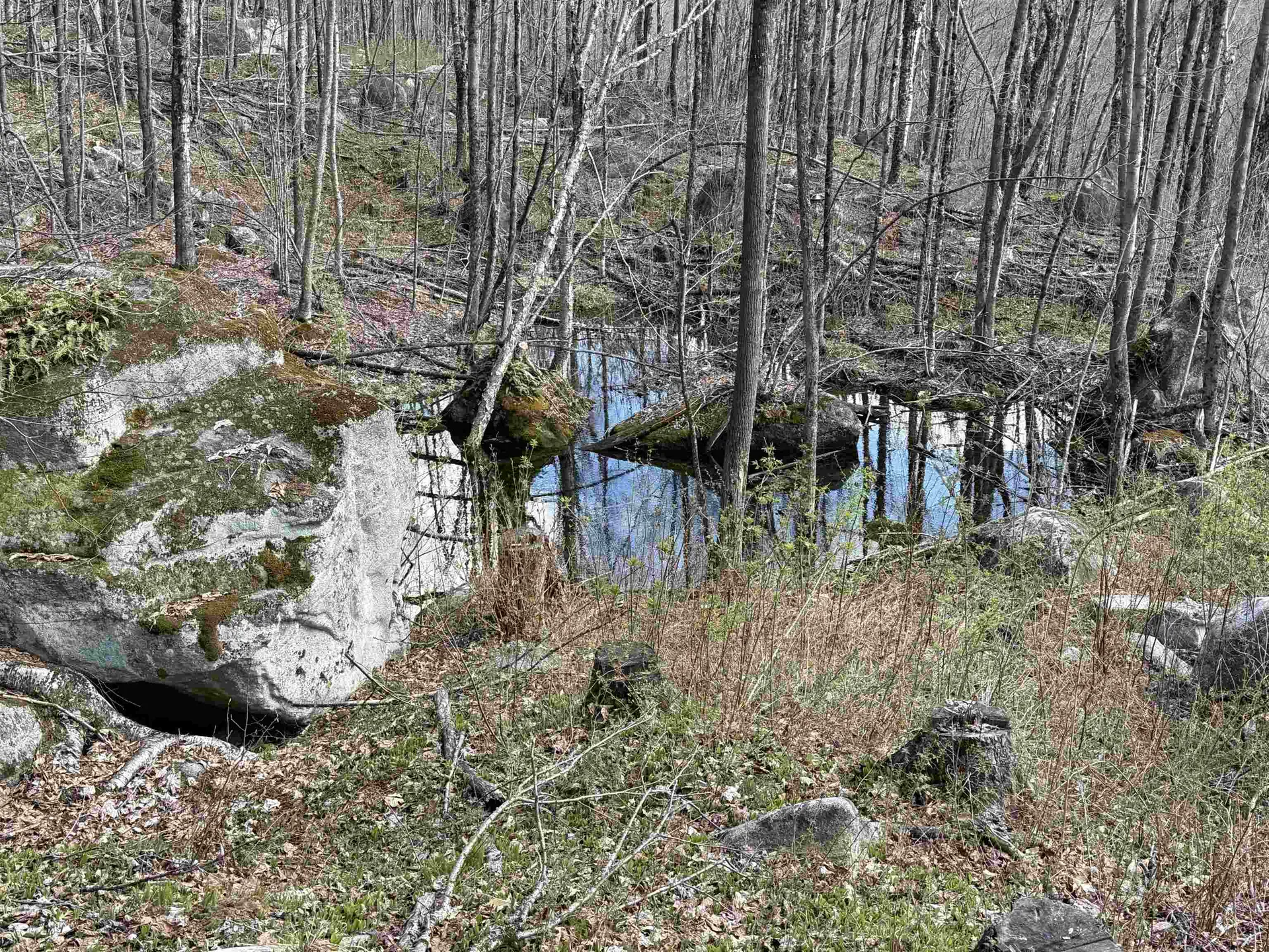 493 Wheeler Mountain Road Barton VT 05822