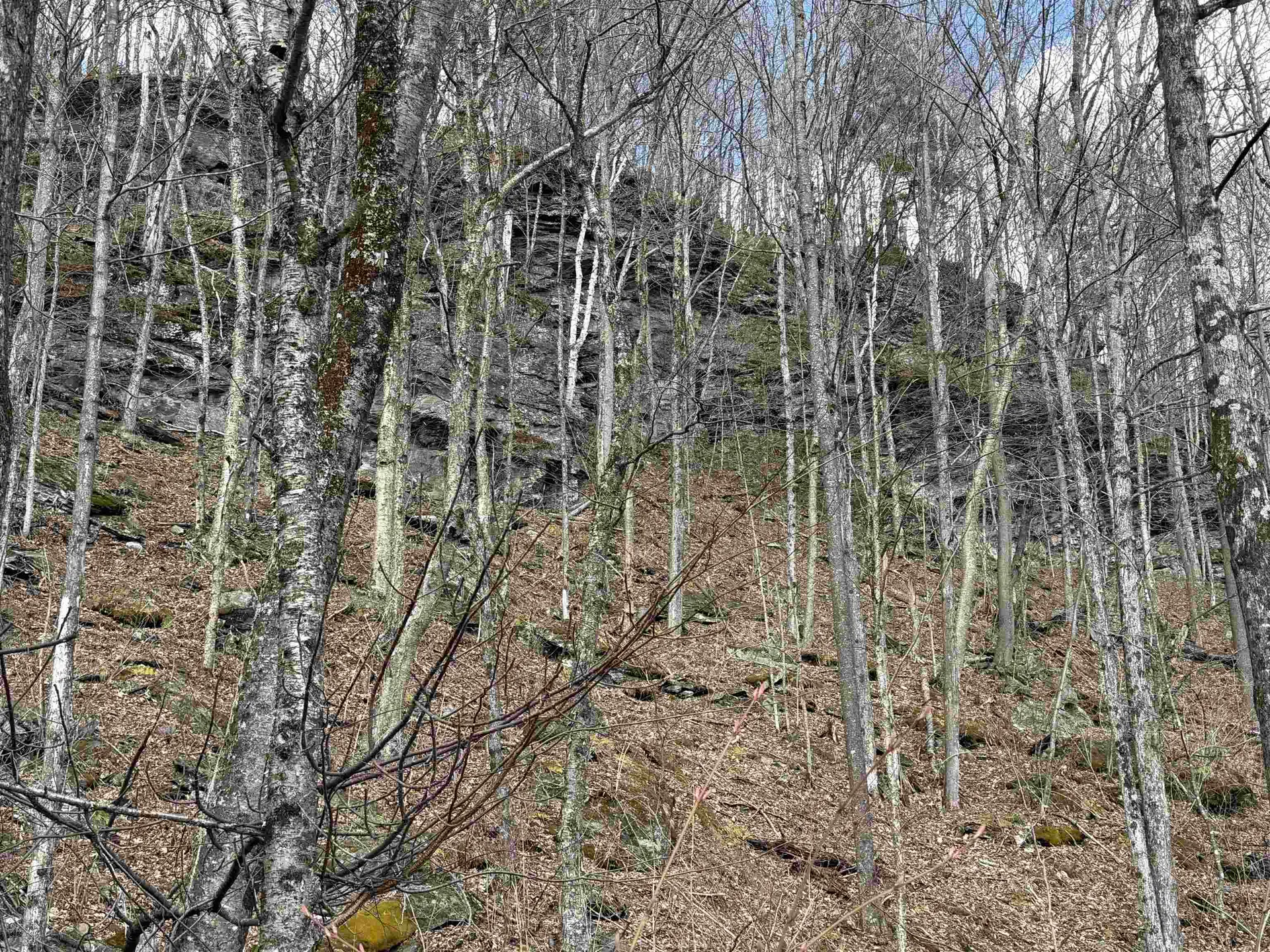 493 Wheeler Mountain Road Barton VT 05822
