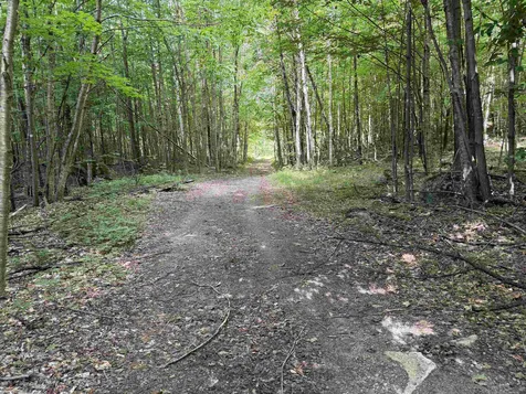 493 Wheeler Mountain Road Barton VT 05822