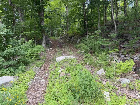 493 Wheeler Mountain Road Barton VT 05822