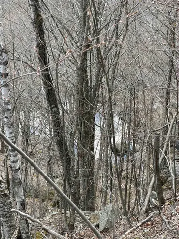 493 Wheeler Mountain Road Barton VT 05822